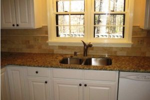 Brown Kitchen Granite Countertop